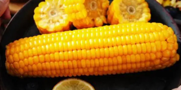 進口食品批發(fā)|塞爾維亞統(tǒng)計局公告稱小麥和玉米比2021年減產(chǎn)