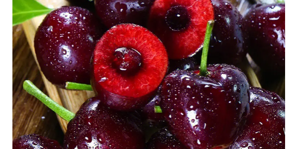 微信截圖_20230413085528