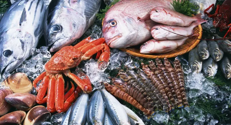 智利水產(chǎn)品國外熱銷 出口額占食品出口總額超三成