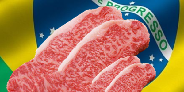 微信截圖_20230419091824