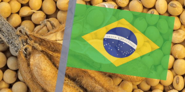 微信截圖_20230419084458