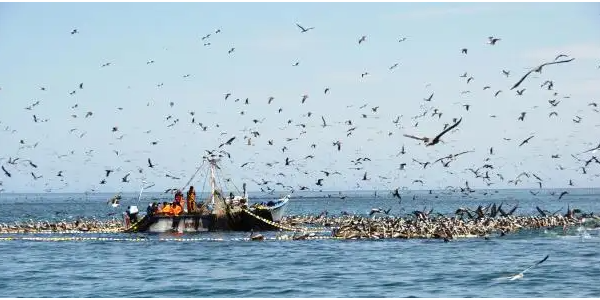 微信截圖_20221216094017