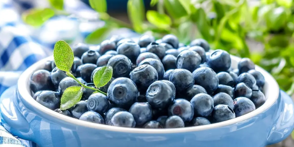 全球藍(lán)莓產(chǎn)量有望達(dá)200萬(wàn)噸，秘魯成最大藍(lán)莓鮮果供應(yīng)國(guó)