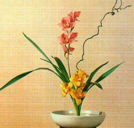 海關(guān)商品歸類