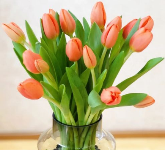 海關(guān)商品歸類