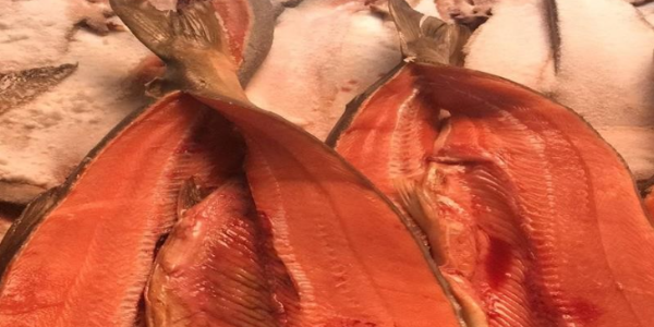 微信截圖_20230315090149