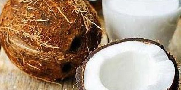 越南新鮮椰子在美國和中國市場上的發(fā)展機遇