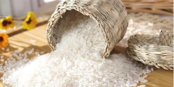 微信截圖_20230301093749