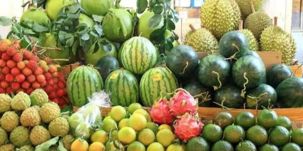 微信截圖_20230228091709