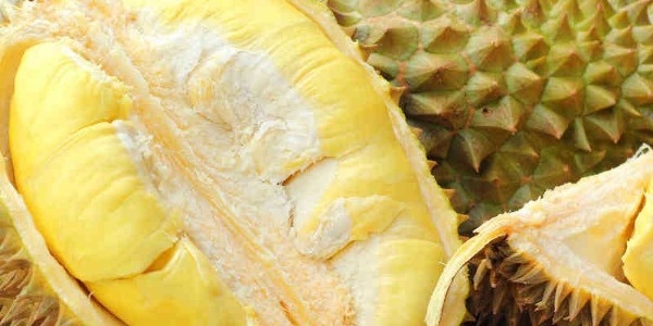 越南產(chǎn)貓山王跌至歷史低點(diǎn)，價(jià)格同比下滑70%