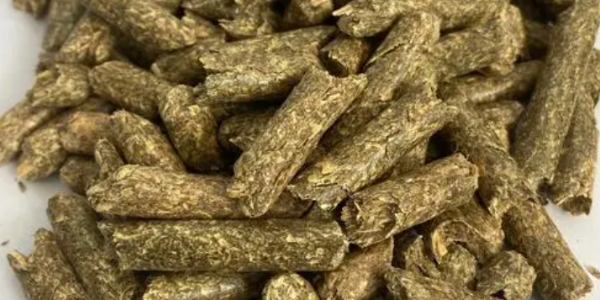 微信截圖_20230202103707