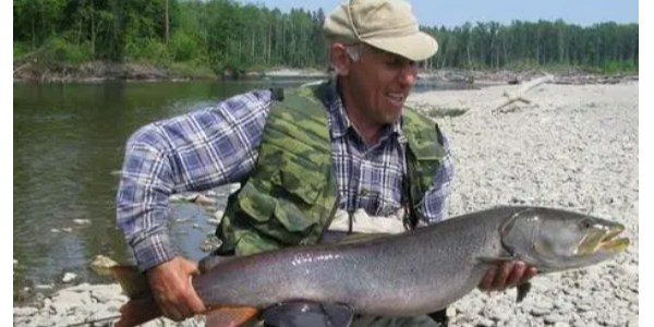 微信截圖_20230414090848