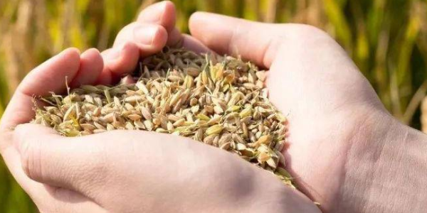 微信截圖_20230414083904