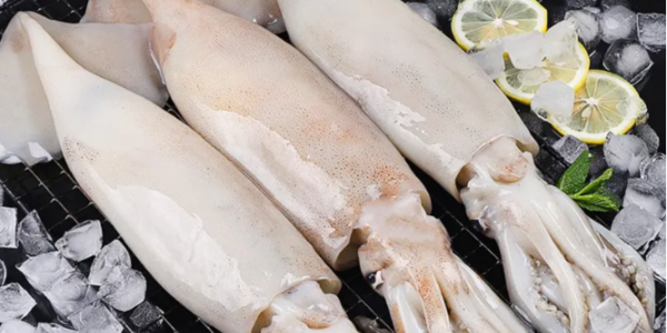 微信截圖_20230208100932