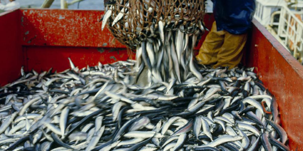 微信截圖_20230208101146