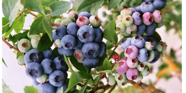 微信截圖_20230222092810