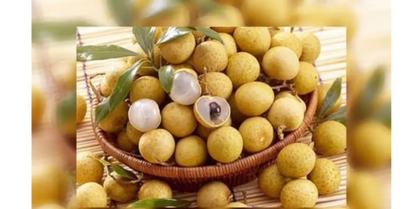 微信截圖_20230222093224