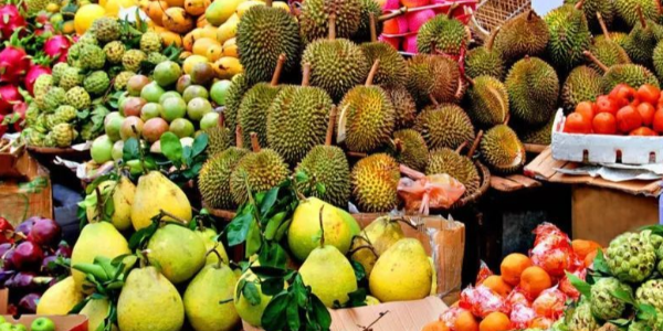 微信截圖_20230331092913