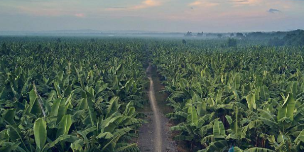 微信截圖_20230331085446