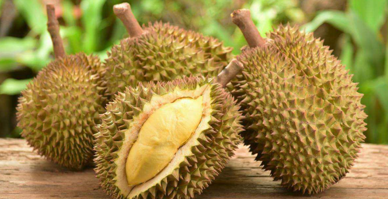 7月11日起，越南榴蓮正式進(jìn)入中國(guó)！