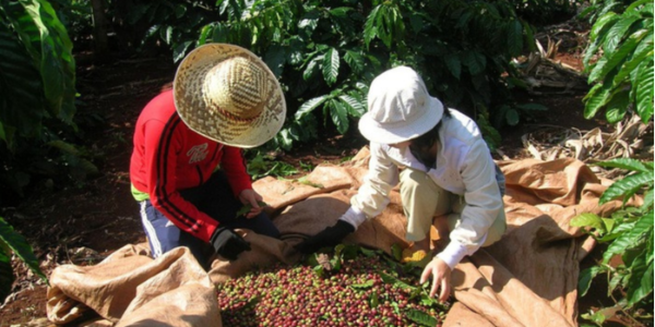 微信截圖_20230130092044