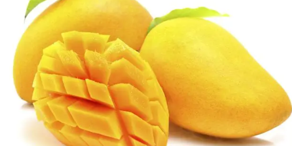 微信截圖_20230130092854