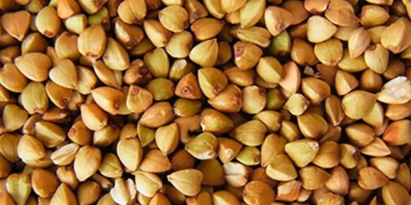 微信截圖_20230106101120 微信截圖_20230106101120