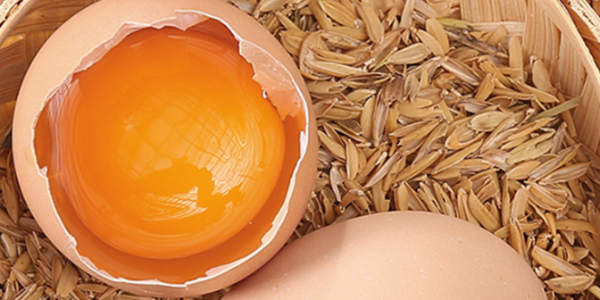 微信截圖_20230206102029