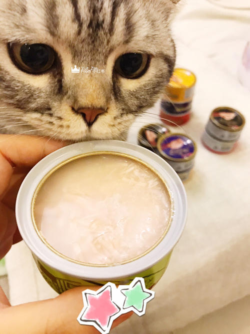 寵物食品罐頭進(jìn)口報關(guān)