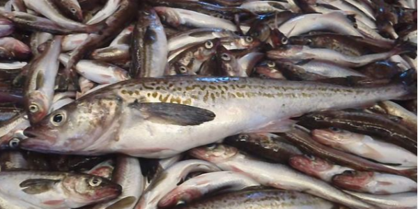 微信截圖_20230207095415