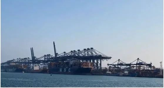 冷凍肉進(jìn)口清關(guān)