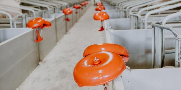 微信截圖_20230420084240