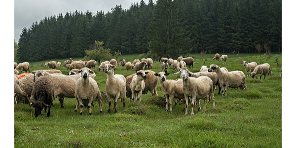 微信截圖_20230120100042