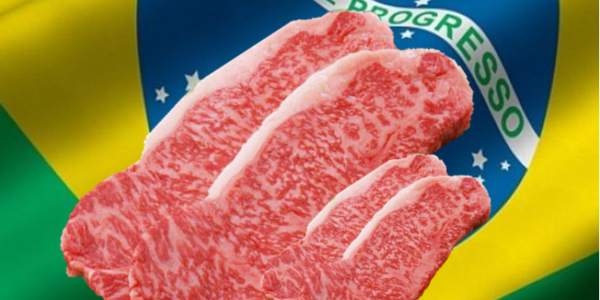 微信截圖_20230227084658