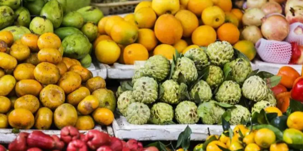 微信截圖_20230227090653