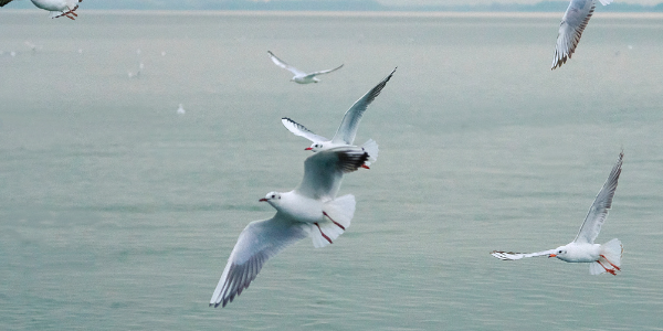 QQ截圖20221225112550