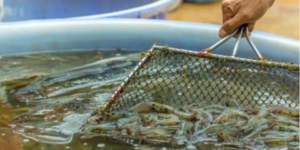 QQ截圖20221225105521