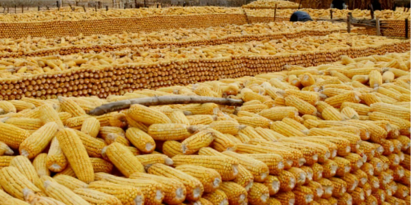 QQ截圖20221225111846