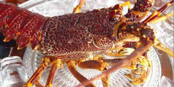 越南是美國主要水產品供應國之一