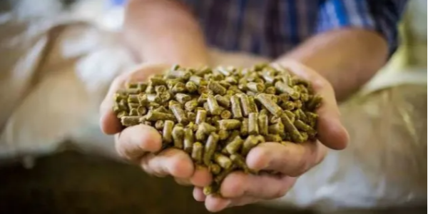 微信截圖_20230321091842