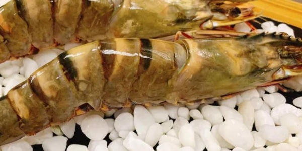 微信截圖_20230321084743