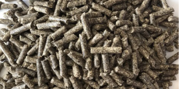 微信截圖_20230328084906