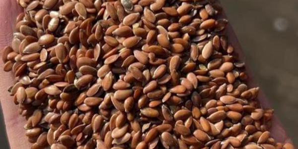 微信截圖_20230328092459