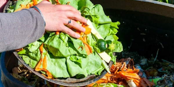 微信截圖_20230324092016