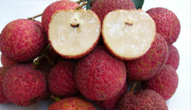 越南無核荔枝將于明年開始上市