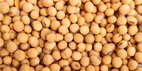 微信截圖_20230117092154