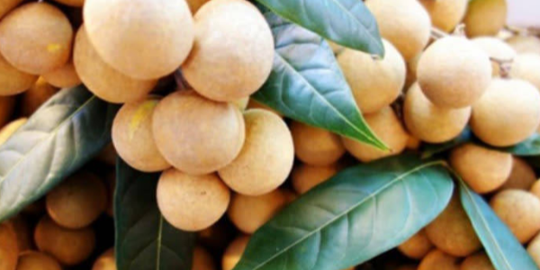 微信截圖_20230421084457