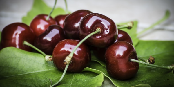 航運(yùn)公司：今年智利車?yán)遄舆\(yùn)輸量將增兩成