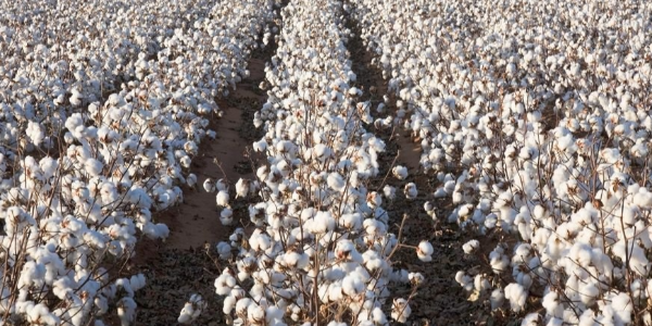 微信截圖_20230209095832