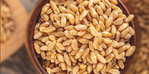 微信截圖_20221229102957